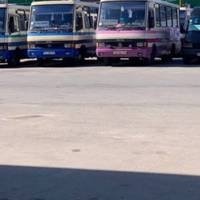 Третину рейсів з тернопільського автовокзалу скасували через дефіцит пального