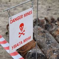 На Кременеччині розкопали 91 міну часів Другої світової