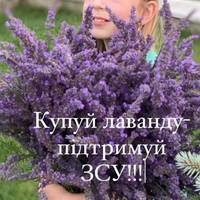 9-річна дівчинка з Тернопільщини продає лаванду, а кошти віддає для ЗСУ (фото)