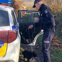 Людяність врятує світ : жителька Тернопільщини віддала домашнього улюбленця патрульним