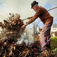 Півтора року війни нічого не навчили: на Тернопільщині посилюють відповідальність для паліїв