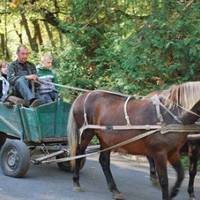 «По дорозі в Європу»: на Тернопільщині діти зі школи їдуть додому на возі