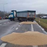 Скандал з розсипаним зерном на кордоні. Що каже Польща і як реагує Україна