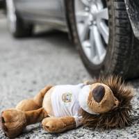 На Тернопільщині автомобіль збив дитину і злетів у кювет