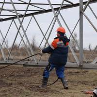 На Тернопільщині через сильні пориви вітру знеструмлено деякі населені пункти