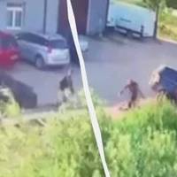 Збили велосипедиста, який втікав: черговий скандал за участю працівників ТКЦ. ВІДЕО