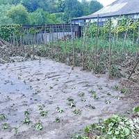 Вода несла свиней за собою курей, свиней і городину: мешканці села Підгайчики оговтуються від потопу