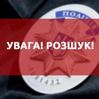 УВАГА РОЗШУК: на Тернопільщині авто на смерть збило чоловіка, водій втік
