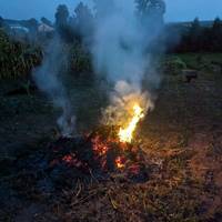 Тернополяни нестимуть відповідальність за спалювання сухої трави