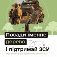 Зелене серце Тернополя: як посадити дерево і допомогти захисникам