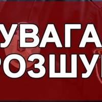 На смерть збив людину і поїхав з місця ДТП: на Тернопільщині шукають водія-втікача