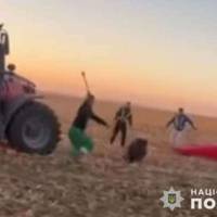 Аграріям, яких підозрюють у знущанні над стадом диких кабанів, суд призначив запобіжні заходи