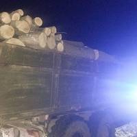 Затримали жителя Тернопільщини, який незаконно перевозив деревину