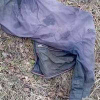 В лісопосадці на Тернопільщині виявили людські рештки