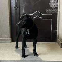 Від Тарнополя до Тернополя