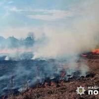 На Тернопільщині паліїв сухої трави штрафуватимуть та саджатимуть до в’язниць