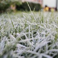 У Тернополі та області очікуються сильні заморозки, місцями -7°