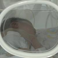У Тернополі показали, як виходжують дітей, які народилися з вагою, менше 1 кілограма
