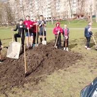 У Тернополі вигулюють собак на стадіоні для регбі: спортсменам доводиться щодня облаштовувати поле (фото, відео)