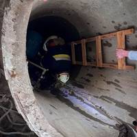 У Бучачі рятували бідолашного собаку, який провалився у глибокий колодязь (фото)