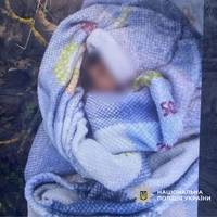 Новонародженого малюка, якого залишили на вулиці у Вишнівці, можуть повернути мамі