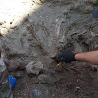 На Тернопільщині почали ексгумацію польських жертв Волинської трагедії