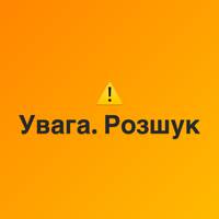 Розшукують людей, які викинули побите кошеня на Симоненка