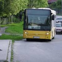 До Березовиці, Білої та Острова курсуватимуть нові маршрутки — реакція ОВА