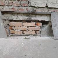 Замурований підвал і пастка для кошенят: у Тернополі мешканці борються за життя беззахисних тварин