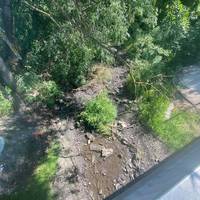 Води немає взагалі: у Бережанах показали, як дамби знищують річку (фото)