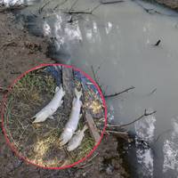 Від Тарнополя до Тернополя