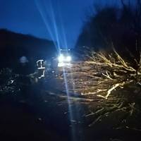 Негода наробила лиха: на виїзді з Тернополя впало дерево й перекрило дорогу до Львова.