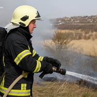 На Тернопільщині вогонь ледь не знищив ціле поле ячменю (фото)