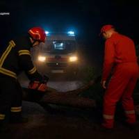 На Кременеччині дерево впало на дорогу та перекрило проїзд швидкій (фото)