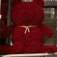 Пів мільйона на троянди: мережа обурилася через подарунок замість допомоги ЗСУ