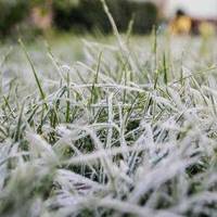 Тернопільщина зустрічає осінь: оголошено перший рівень небезпеки через заморозки