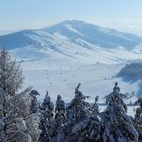 У Карпатах вже справжня зима: намело пів метра снігу та вдарив мороз
