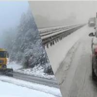 Болгарію засипало снігом: вітер валить дерева, на дорогах великі затори