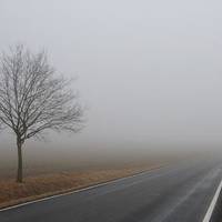 Туман очікують на Тернопільщині – попередження про небезпечність