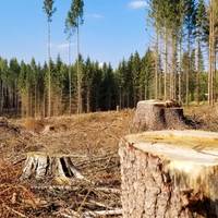 Від Тарнополя до Тернополя