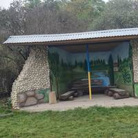 15-річна художниця перетворила автобусну зупинку в селі на витвір мистецтва: неймовірна робота