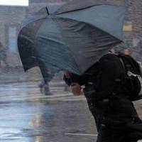 Тернопільщину накрив штормовий вітер — оголошено жовтий рівень небезпеки