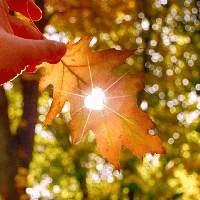 Бабине літо повертається: якою буде погода у Тернополі на вихідних