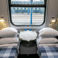 «Укрзалізниця» пояснила, чому безоплатними зроблять саме 3000 км