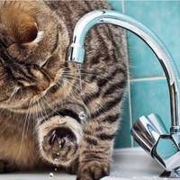 Чотири будинки у Тернополі залишилися без водопостачання