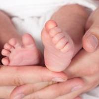 На Тернопільщині минулого тижня з’явились на світ 74 малюків