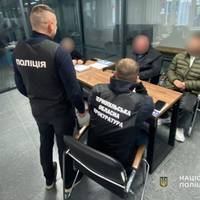 Засипали пні землею: на Тернопільщині викрили незаконну вирубку лісу