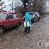 У Збаразькій громаді підтвердили африканську чуму свиней: поліція посилила карантин