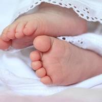 На Тернопільщині минулого тижня з’явились на світ 80 малюків