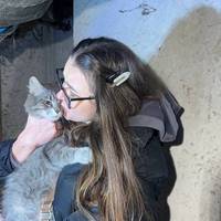 У Тернополі через дев’ять днів після ракетного удару дивом знайшли кішку Мію